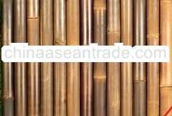 FENCING PANEL BAMBOO BM28