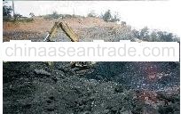 Steam Coal From 