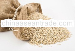 Holland Pearl Barley