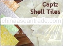 Capiz Mother of Pearl Shells for Interior Wall Covering Design and Decoration