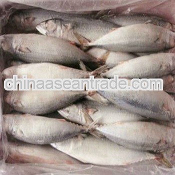 whole canned mackerel in brine 425g