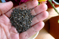 Best Grade Chia Seeds