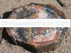 Petrified Wood Stone