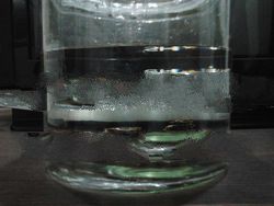 Natural Wild Sinking Agarwood Piece