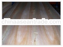 LONG GRAIN CORE VENEER