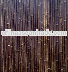 BAMBOO FENCE