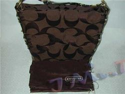 Large Carly Signature 10620 Dark Brown handbag