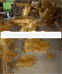 Best Quality Coffee Tree Decorative Wooden Furniture