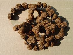 Rudraksha Mala Beads Bracelet