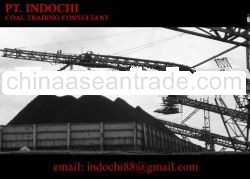 Coal, Steam Coal, Indonesian Steam Coal, Coal Trading