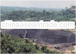 Thermal/Steam coal