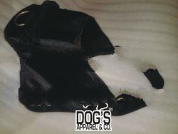 Dog Harness with Bags