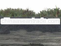 Steam Coal