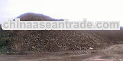  Steam Coal