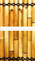 BAMBOO FENCING bfp18