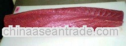 Fresh & Frozen tuna,grouper,snapper