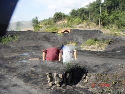 Steam Coal