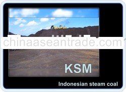 Steam Coal