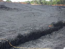 Steam Coal GCV 5,300 - 5,500 adb, FOB Basis