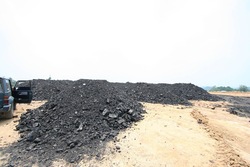 Steam Coal