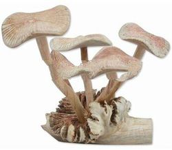 Hand Carved Wooden Mashroom
