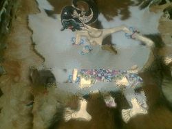 Wayang Leather Goat Painting