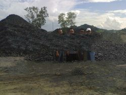 STEAM COAL