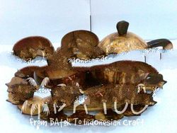 Coconut's shell Tray