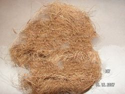 Coconut Fiber