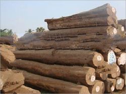 Burma Teak Logs