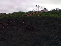 Steam Coal