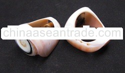 Natural Sea Shell Ring