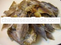 DRIED FISH