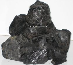 Steam Coal