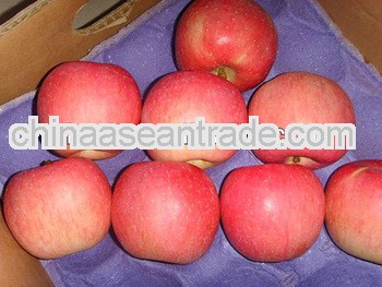 2013 new fresh apple chinese apple fruit gala apple