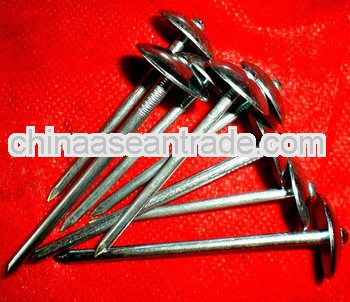 2"x12bwg smooth umbrella head roofing nails