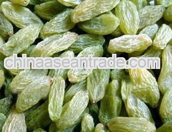 dried fruits /green raisin/ raisin prices