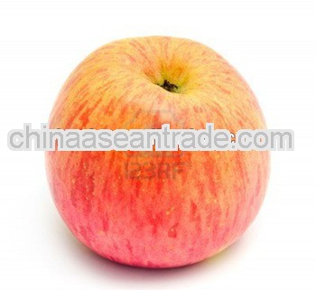 yantai fuji apple with good quality & low price